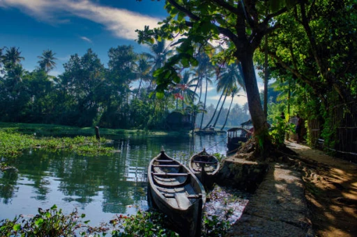 image for article 15 Highly underrated places in Kerala that you must visit!