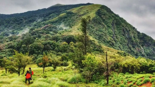 image for article 10 trekking spots in Karnataka that are not banned right now!