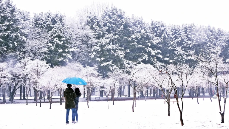 10 Most Insta-worthy Spots in Gangwon Province During Winter