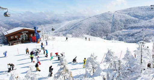 Top 8 Ski Resorts in South Korea’s Gangwon Province