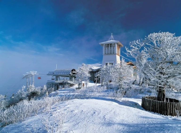 yongpyong resort one of the top places for 