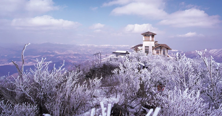 10 Instagrammable Places to Visit in Korea That Are Truly Transformed in Winter