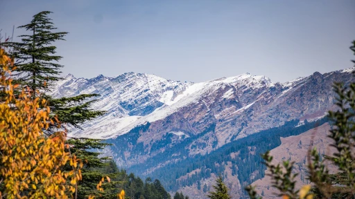 image for article 10 Jaw-Dropping Hill Stations to Visit in Uttarakhand