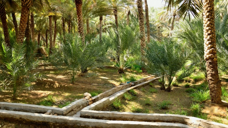 Al Ain Oasis, the U.A.E&#039;s First UNESCO World Heritage Site
