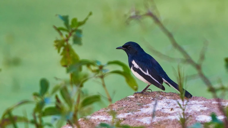 8 Places in West Bengal That Look Otherworldly