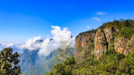 image for article 15 Hidden gems in Kodaikanal that will take your breath away