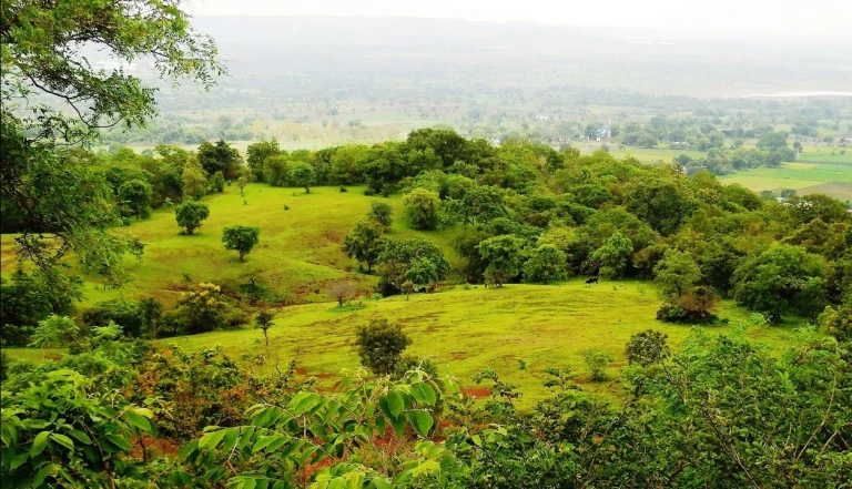 Ananthagiri Hills, Telangana