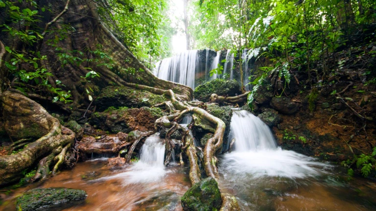 Waterfall in Rainforest of Agumbe Karnataka