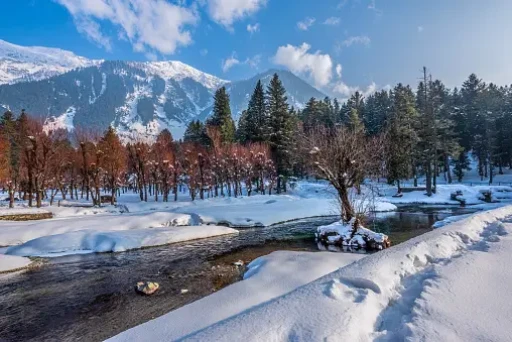 image for article 9 Reasons to visit Pahalgam with your family