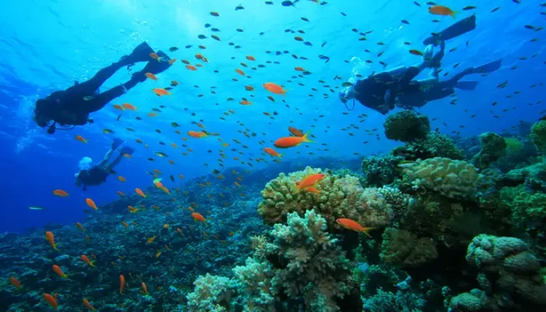 Scuba Dive in Agatti Island