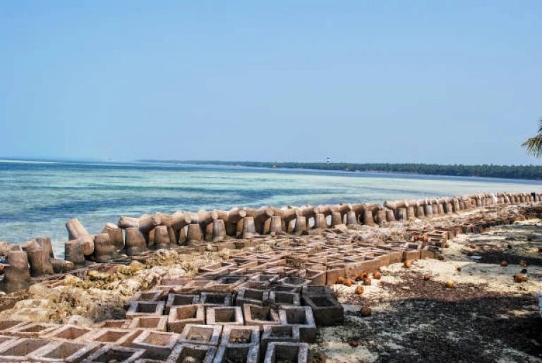 Tetrapods setted in the beach agatti Island, lakshadweep to control the beach erosion