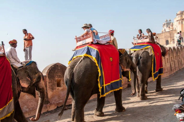 Elephants ferry tourists up to Amber Palace, a majestic ascent.