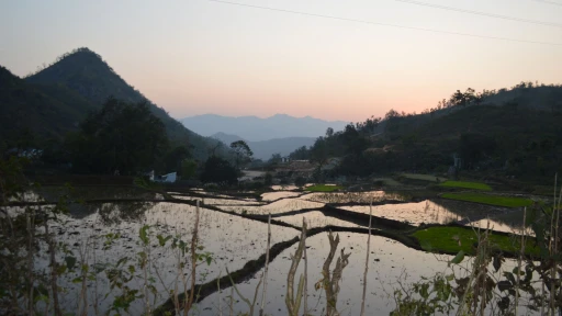 image for article 7 Things You Should Know About Araku Valley Before Planning Your Trip
