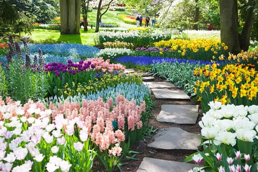 7 Botanical Gardens in India you should visit!