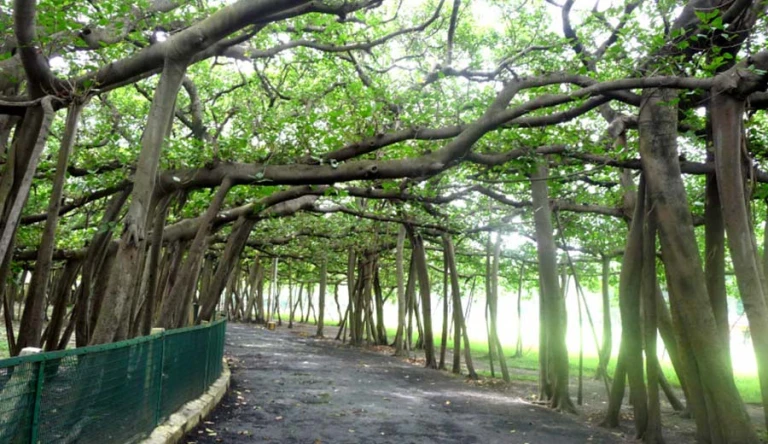 Acharya Jagadish Chandra Bose Indian Botanic Garden, Kolkata