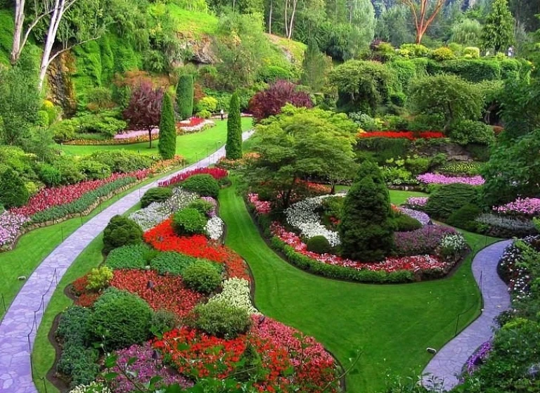 Government Botanical Garden, Ooty