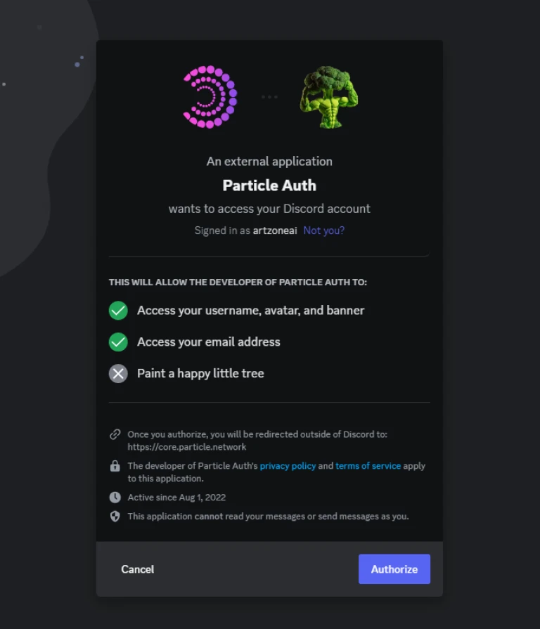 Particle network wallet - Discord authentication 
