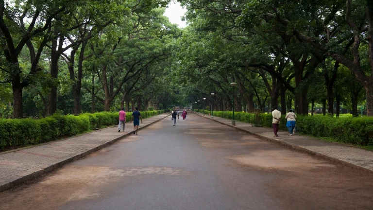 Bangalore cubbon park
