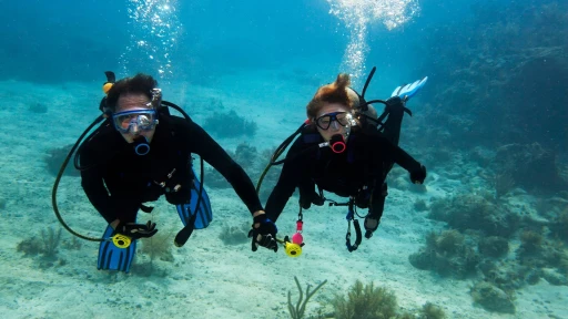 image for article Scuba Diving in Goa: Everything You Need to Know!