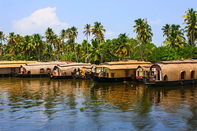 Boathouses at the Kochi Backwaters India