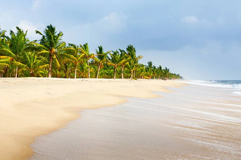 Beach At Kochi Kerala State India