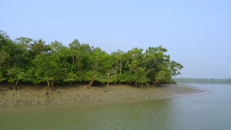 Sundarbans, West Bengal 