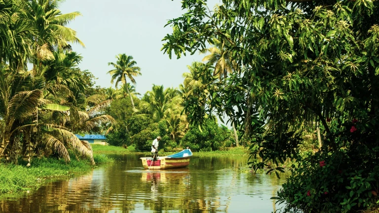 Kerala&#039;s Backwaters