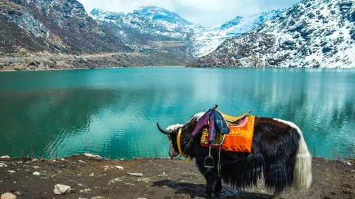 image for article 10 Things to do in Sikkim for adventure lovers 