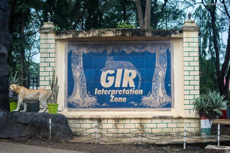 Interpretation Zone Gir National Park Gujarat