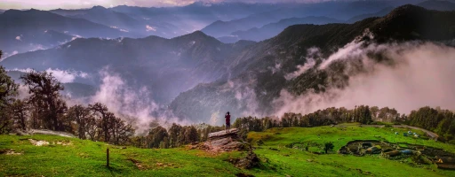 image for article Travel guide to Chopta: The mini switzerland of India in Himachal Pradesh