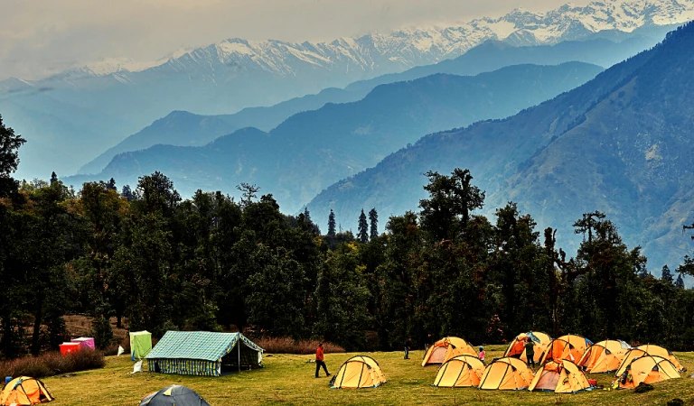 Welcome to Chopta Campsite