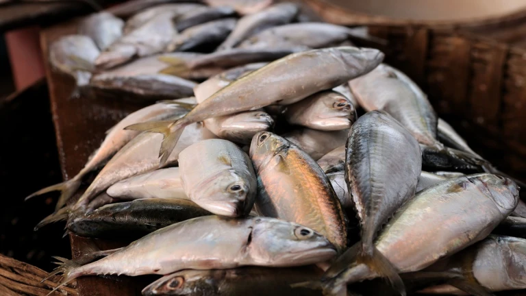 Fish Market Goa