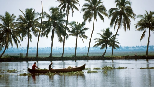 image for article Top 15 Attractions and Activities to do in Alleppey Backwaters 2023