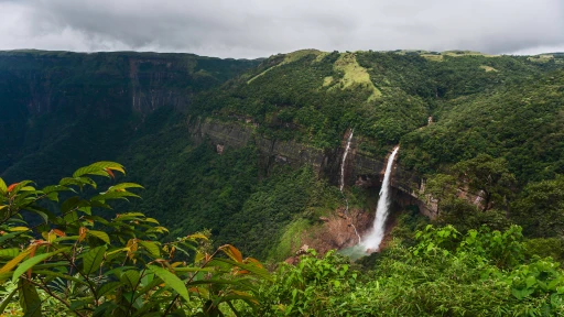 image for article Cherrapunji Travel Guide: Best Time to Visit and Top Things to Do