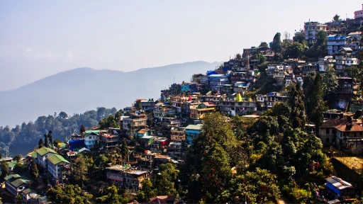 image for article Darjeeling Travel Guide 2023: Things to do and more!
