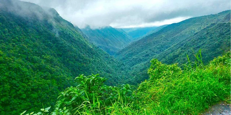 Green Valley Shimla