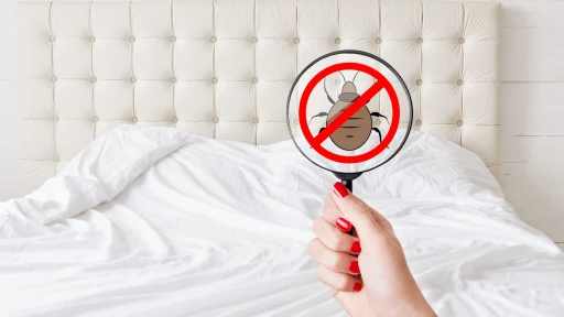 image for article Paris Bed Bug Outrage: How to avoid Bed Bugs While Traveling?