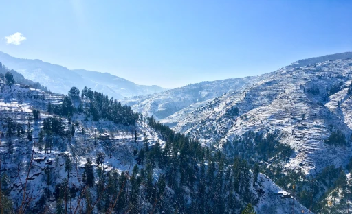 image for article 15 Things to Do and See in Shimla 2023