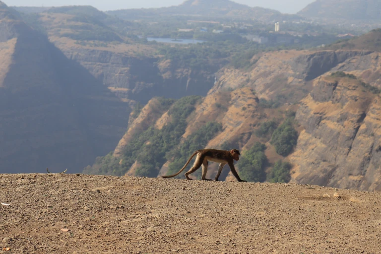 Tiger point lonavala