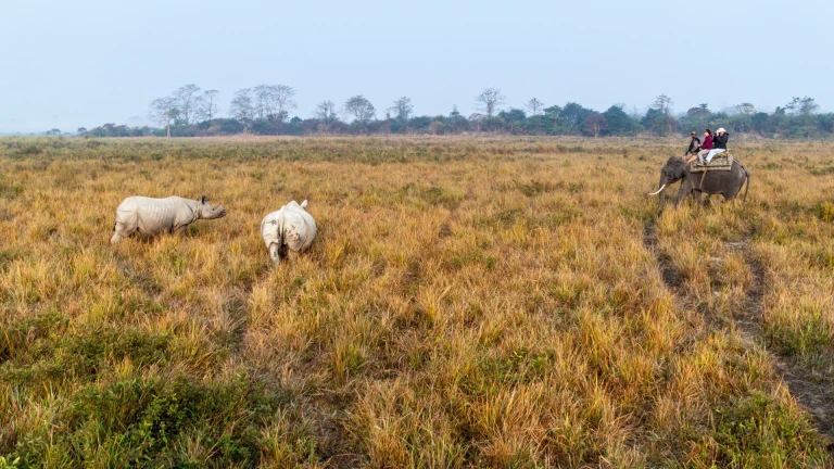 Kaziranga National Park and Tiger Reserve Reopens for Tourists on October 15