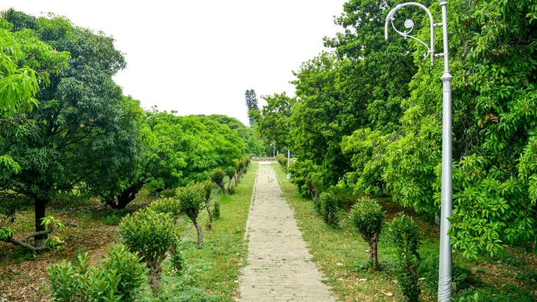 Chandigarh Botanical Garden and Nature Park