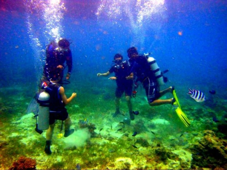 scuba diving in cebu