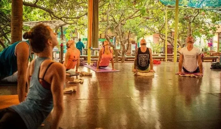 Yoga and Wellness Retreat, Goa