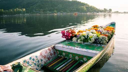 image for article Travel Guide to Kashmir: Things to do in 2023
