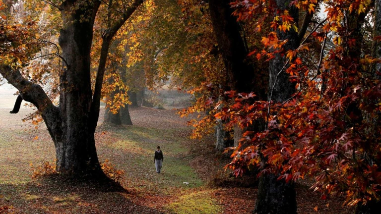 Autumn Kashmir 