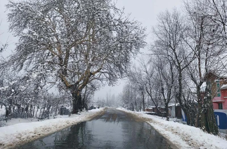 Sopore Kashmir 