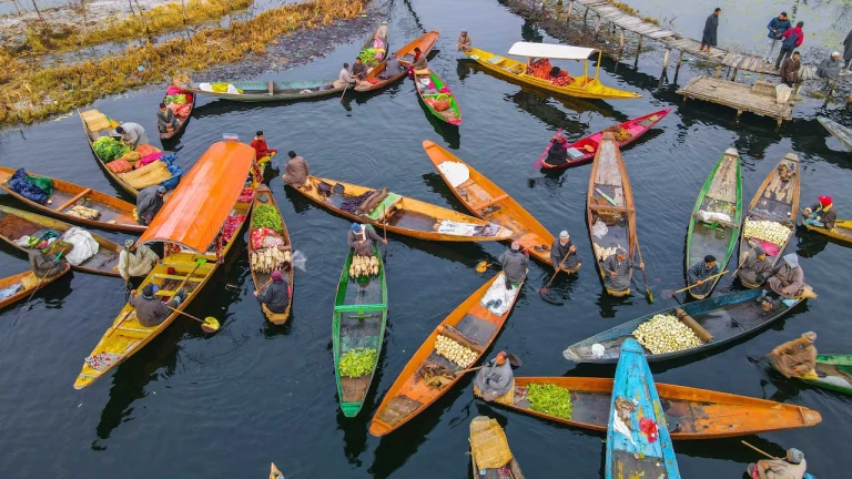  Floating Market, Kashmir