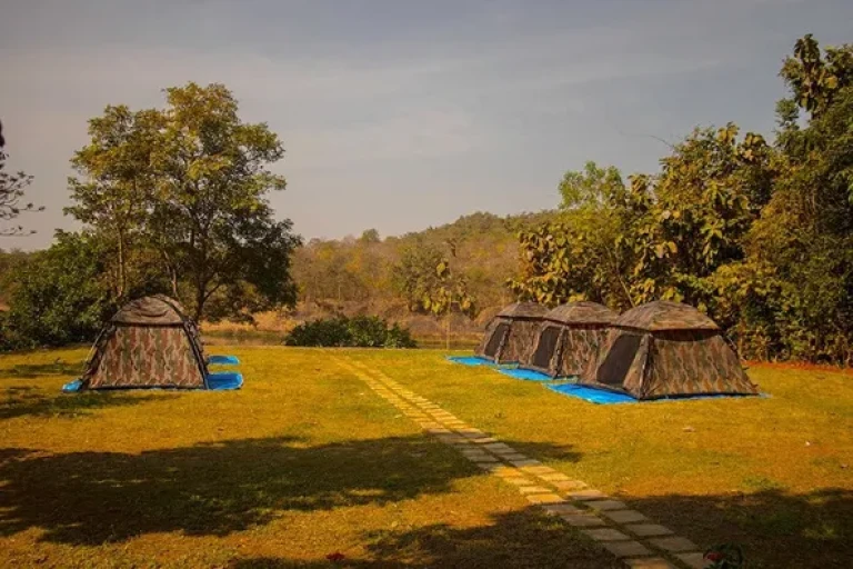 Tent Stay at Camp Shere 