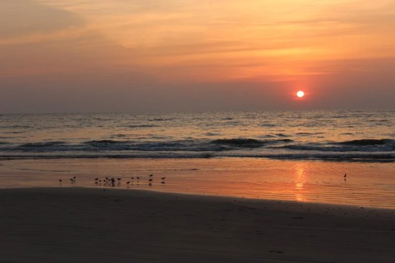 Muzhappilangad Beach Kannur