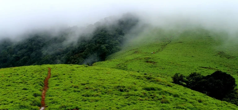 Paithalmala, Kannur